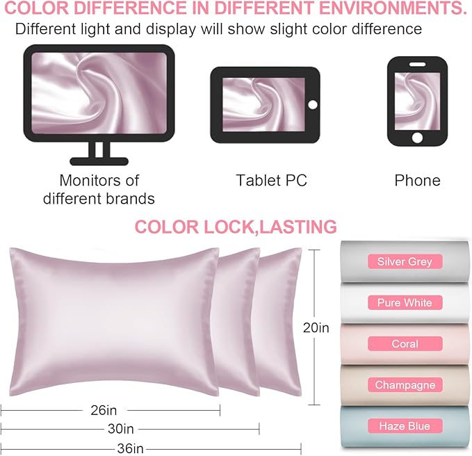Mulberry Silk Pillow Cases 2 Pack Queen Size 20x30 Inches with Hidden Zipper, Ultra Smooth and Soft Breathable Cooling Silk Satin Pillowcase Set of 2, Better for Hair and Skin, Gifts for Women Men