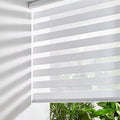 Persilux Cordless Zebra Blinds for Windows, Light Filtering Roller Shades for Windows (36.5" W x 72" H, White) Light Control for Day and Night, Light Filtering Sheer Shades for Home, Office, Bedroom