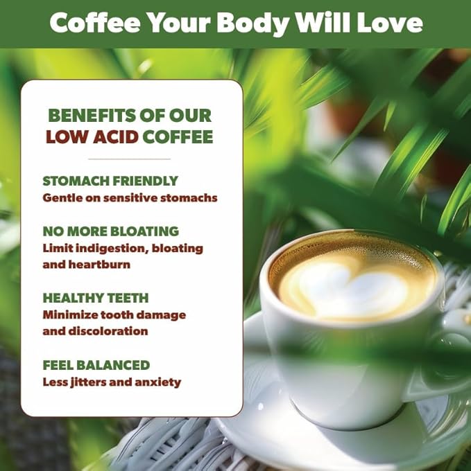 Low Acid Organic Coffee – Whole Bean, Mold-Free & Stomach Friendly by Java Planet, Good Morning Blend Coffee, Medium Roast, Smooth Full Flavored, 5LB Bag