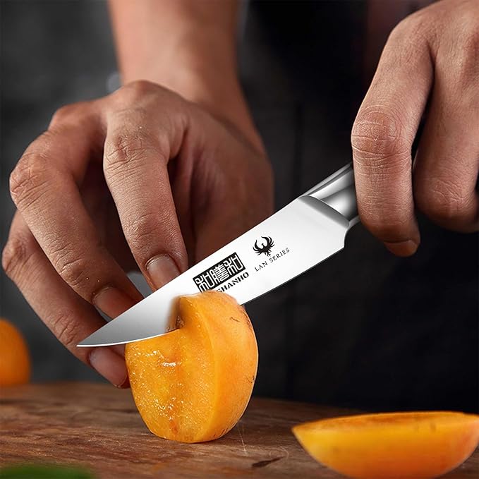 HOSHANHO 3-Piece Kitchen Knife Set, Ultra Sharp Chef/Santoku/Paring Knives,Professional High Carbon Steel Knives with Ergonomic Handle, Ideal Cooking Gift Set