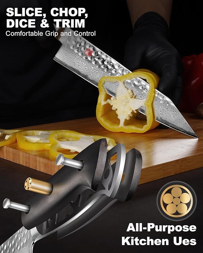Japanese Chef Knife Kitchen Knife with 67 Layers Damascus Steel AUS-10 Core, Professional Damascus Knife with Full-Tang Ebony Wood Handle and Premium Gift Box(8.27 Inch Kiritsuke Knife)