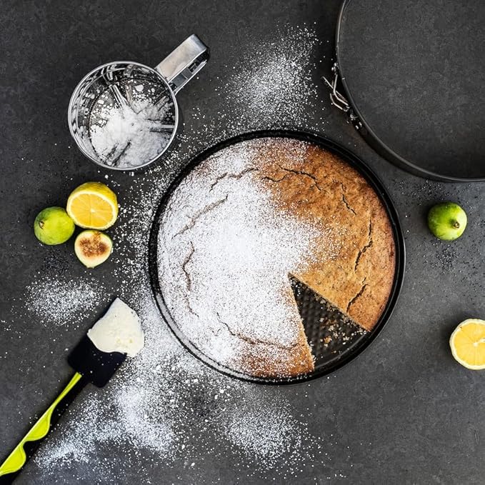 10 Inch Springform Pan Round Non Stick Cheesecake Pan Durable Baking Cake Pans with Removable Bottom Cake Molds for Baking
