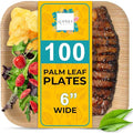 100% Natural 6” Palm Leaf Square Plate (100 pack), Compostable & Biodegradable Dinnerware for Catering, Birthdays, Halloween, BBQs, Thanksgiving, Alternative to Paper & Bamboo Plates Disposable
