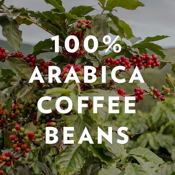 Community Coffee New Orleans Blend 72 Ounces, Special Dark Roast Ground Coffee, 12 Ounce Bag (Pack of 6)