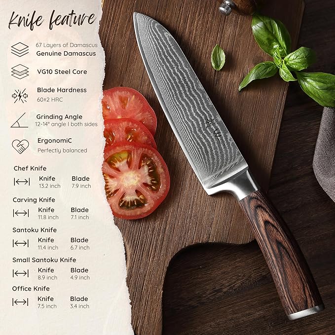 Wakoli EDIB 5-Piece Damascus Knife Set – Professional Kitchen Knives | Genuine Damascus Steel Blades with VG10 Core | Ergonomic Pakkawood Handles | Premium Chef Knife Set