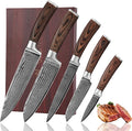 Wakoli EDIB 5-Piece Damascus Knife Set – Professional Kitchen Knives | Genuine Damascus Steel Blades with VG10 Core | Ergonomic Pakkawood Handles | Premium Chef Knife Set